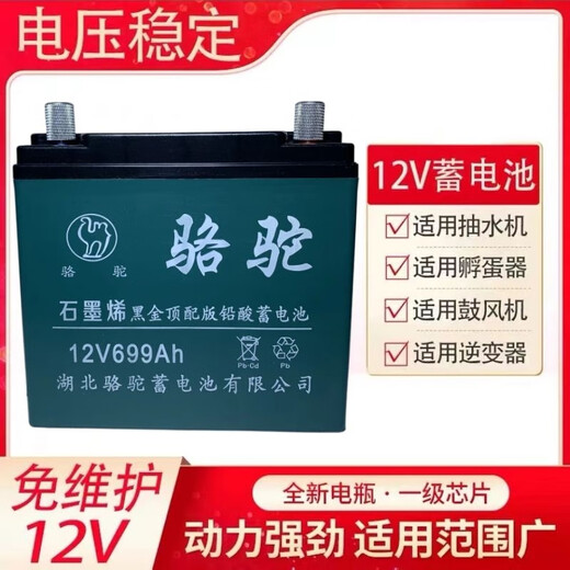 Village de Shantoulin 12V20A 60A Batterie de plomb à grande capacité Alimentation Alimentation Alimentation extérieure Audio 12V Batterie de camel Nouvelle batterie 12V699A + Chargeur intelligent