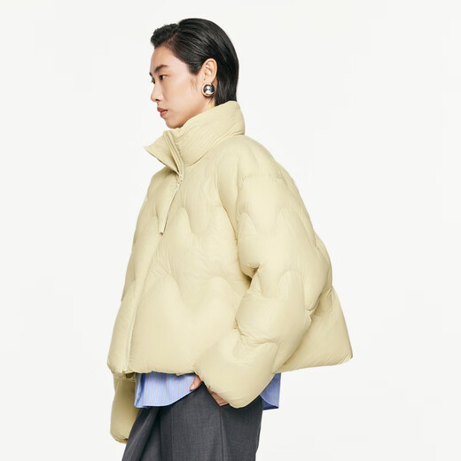 江南布衣（JNBY）【波朗尼】秋冬新品羽绒服女立领波浪设计短款休闲宽松5O0C12350 748/浅豆黄 S