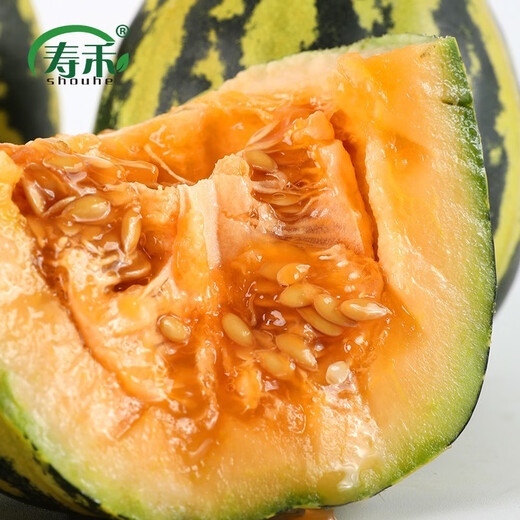 Shouhe Xinjiang Hami melon seeds, southern and northern early-maturing super sweet Xiangfei reticulated honeydew melon seeds, Shouhe Weifeng Bingtang Prince melon seeds 80 capsules