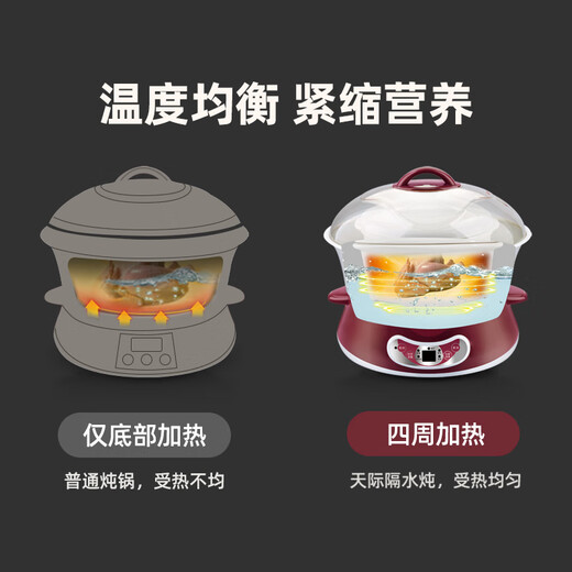 TONZE electric stew pot, electric stew pot, water-proof stew pot, soup pot, soup pot, porridge health pot, porridge pot, steaming and stew all in one, white porcelain 5-gallon DGD40-40DWG 4L