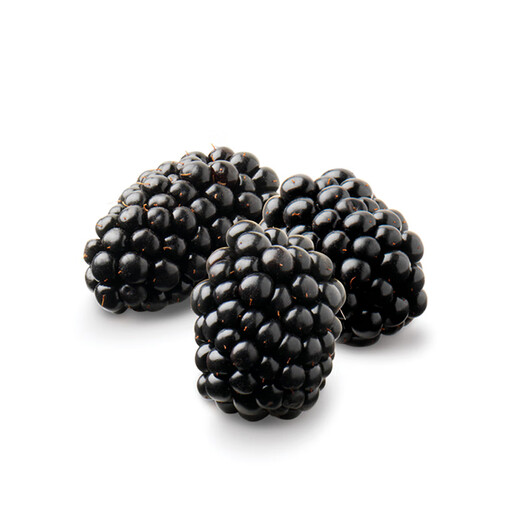 Driscoll s Blackberry 125g