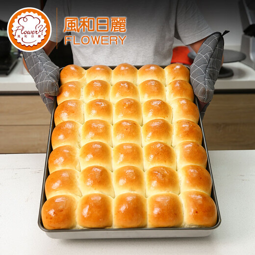 Fenghe Rili Handelsofen Backschale 60x40 cm flache Geschirr mit Nicht-Stall-Brotkuchen-Becken Keksen Privates Backform My1143 Aluminiumlegierung Anode 1,08 kg Höhe 2 cm