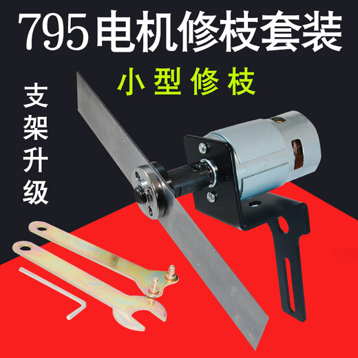 Yuechangsheng 795 moteur à haut débit jardin tous pointeur moteur dc moteur de l'élagage bricolage petit moteur 12v24v 795 795 Motor Back