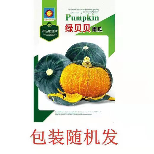 Green Beibei pumpkin seeds crawling all over the ground are easy to plant without scaffolding. Sweet chestnut flavor and stable yield pumpkin seeds are sown in all seasons. Green Beibei pumpkin seeds, original 28 capsules.