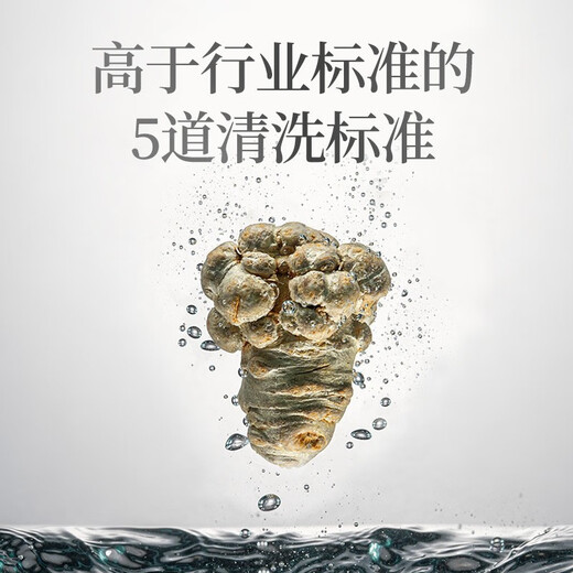 Yunnan Baiyao Panax Notoginseng Powder Leopardo Qitian Qi Powder MultiPecifications Multi-Specifications UltraFine Powder Panax Notoginseng Powder Leopard Qi Aleatorio Notoginseng Panax Notoginseng Powder 100G (con una cuchara pequeña incluida)