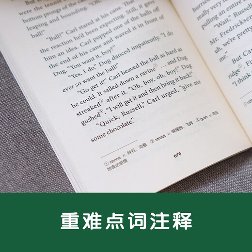 迪士尼英文原版·飞屋环游记