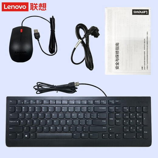 Lenovo [i5/i7 edición profesional personalizada Win10] M455 Actualizado W490/T4900K Computer Computer Host con puerto serie + host único PCI + Monitor personalizado de 19.5 pulgadas i5 16G 256G + 1T W10PRO