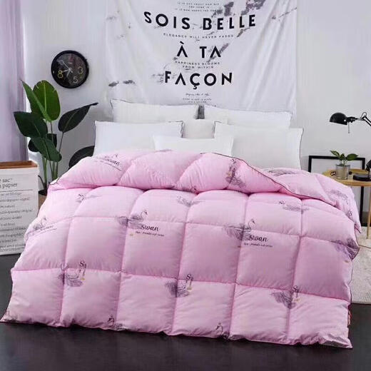 Couette en plumes épaissie avec courtepointe d'hiver 8 Jin [Jin est égal à 0,5 kg] Spring and Automn Trep Proof Single and Double Quilt Core New Feather Pink 220 * 240 * 8 Jin [Jin est égal à 0,5 kg]