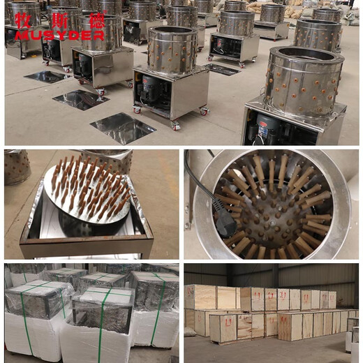 Mushide hair removal machine, fully automatic hair removal machine, turbine hair removal machine, small poultry stainless steel all-in-one machine, shipped after disinfection, 60-type all-in-one machine