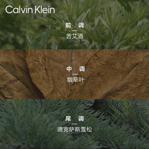 Calvin Klein Flying Men's Eau de Toilette 50ml New Year's Eve gift for boyfriend and husband (valid until 26.8)