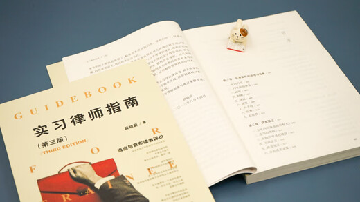 Trainee Lawyer's Guide (Third Edition)