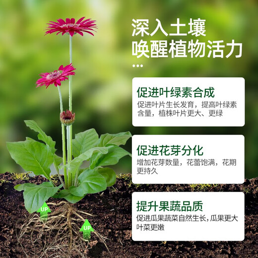 Urea fertilizer for growing vegetables, organic fertilizer, quick-acting nitrogen fertilizer, chemical fertilizer, general compound fertilizer for flowers, agricultural water-soluble fertilizer, crystal urea 20Jin Jin is equal to 0.5kg