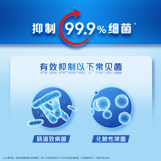 Safeguard Antibacterial Foam Hand Sanitizer White Tea Fragrance 300g Healthy Antibacterial 99.9% Fine Foam