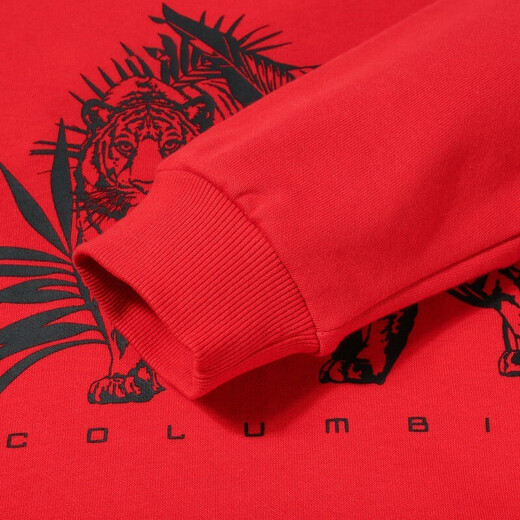 Columbia哥伦比亚长袖T恤男户外休闲舒适保暖套头连帽卫衣AE5691 691 M 175/96A