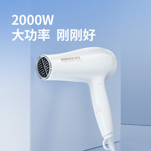 FLYCO's Borui hair dryer household high-power hair dryer travel portable hair dryer hot and cold air barber shop hair salon foldable PH1626