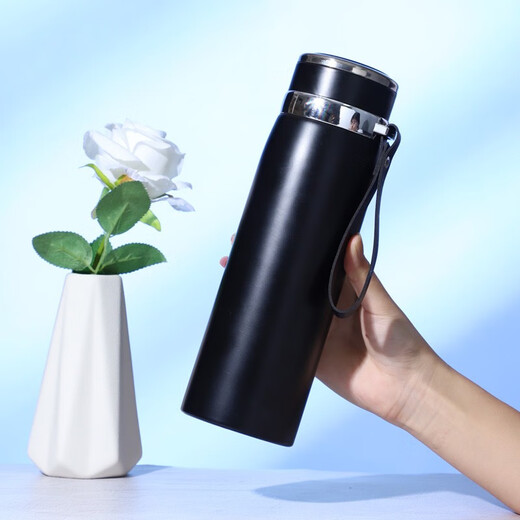 Shuqule 316 stainless steel thermos kettle can be customized for boys business simple capacity kettle outdoor sports portable car steel color 600ml