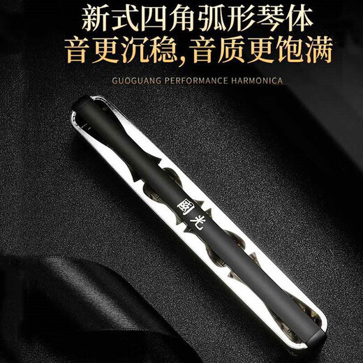 德国进口音簧国光口琴28孔重音专业演奏级复音C调初学者成人学生入门 【高端演奏款】28孔哑光黑色复音C调