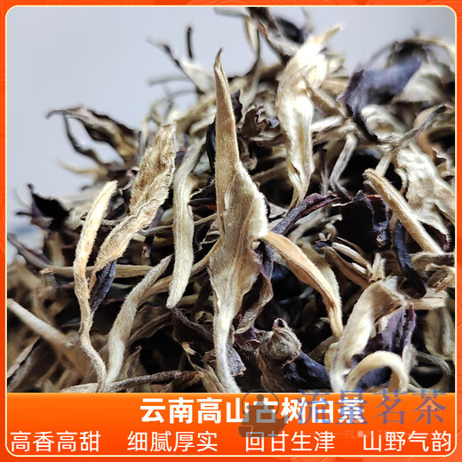 Qiu Boyuan Mid-Autumn Ceremony 2024 Yunnan Ancient Tree White Tea Alpine Yangta Moonlight Beauty White Peony Spring Tea Bag Loose Tea 250g