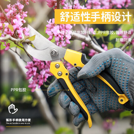Deli fruit tree pruning scissors, garden flower pruners, branch scissors, thick flower scissors, gardening scissors tools, 8-inch stainless steel, curved mouth flower and tree shears DL2770
