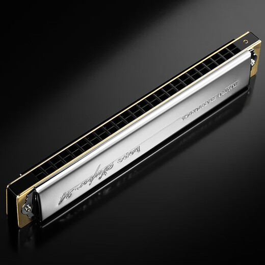 TOMBO 6624S polyphone 24-Loch-Mundharmonika für Erwachsene, fortgeschrittene professionelle Tongbao-Mundharmonika für Anfänger, C-Taste, 24-Loch-kundenspezifischer Kupfergitterstil, Tonnotenmeldung