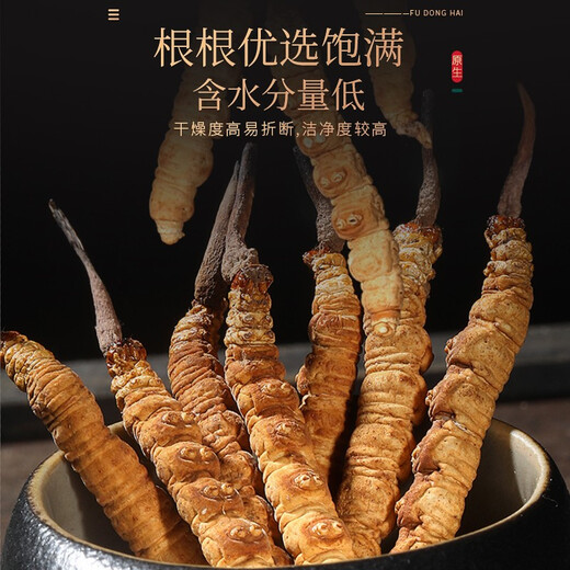 福东海 冬虫夏草10克礼盒 优级品质整条无竹签甄选高海拔冻干高洁净