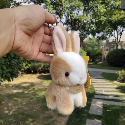 DRACO ins仿真小兔子钥匙扣毛绒挂件可爱小白兔公仔钥匙扣玩偶背包挂饰件礼物女情人节礼物 均阳仿真兔子灰色14厘米