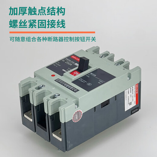 北元电器塑壳式直流断路器BM30D-125L/2P 3P/250A 16A BM30D-125L/2300