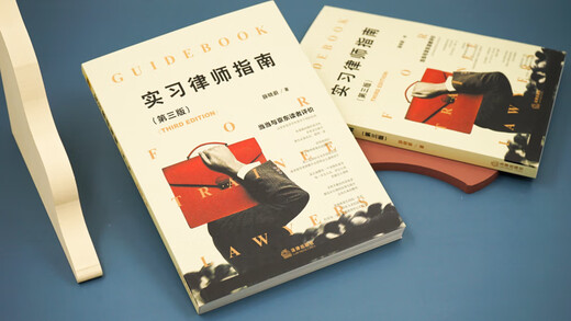 Trainee Lawyer's Guide (Third Edition)