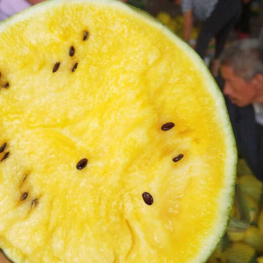 Dayu Yellow Heart Watermelon Seed Seedlings, Early Mature, Yellow Skin, Red Flesh, Yellow Flesh, Special Xiaofeng Watermelon Seeds, Southern Fruit, Yellow Flesh, Xiaolan Watermelon Seeds, 10 capsules
