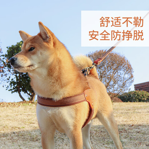 DidogPet Dog Leash Dog Harness Small Dog Bichon Harness Medium Dog Corgi Poodle Vest Style Dog Walking Rope Brown Single Harness M-Medium Recommended Weight 20-32 Jin Jin equals 0.5 kg