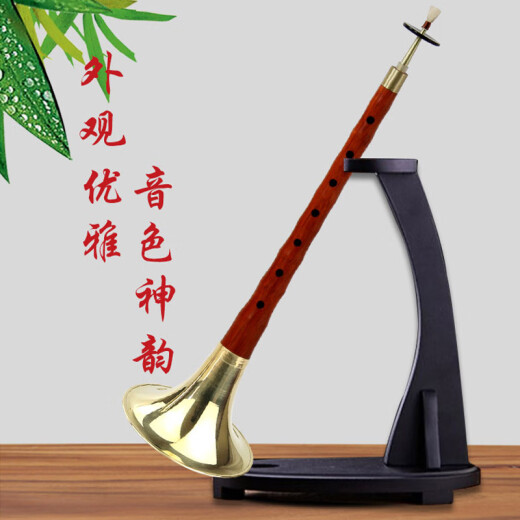 管艺 红木乌木唢呐乐器全套唢呐民族乐器成人初学演奏锁啦喇叭 红木黄碗D调【10种赠品】