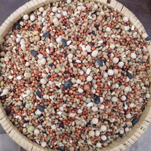 10 Jin Jin is equal to 0.5 kilograms of corn-free pigeon food, racing nutritional feed, bird food, carrier pigeon ornamental pigeon meat, pigeon food, pigeon food