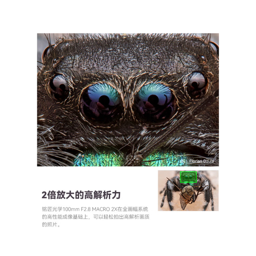 Mingjiang 100f2.8 full frame lens 100 macro 100mmF2.8 Mingjiang optical 100 2.8 Sony FE mount