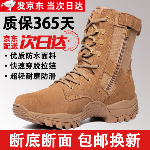 际华三五一三新式棕色作战靴作战鞋超轻防滑侧拉链训练靴沙漠高帮户外登山鞋男 棕色21作战鞋【标准】 42 【260】两双鞋垫