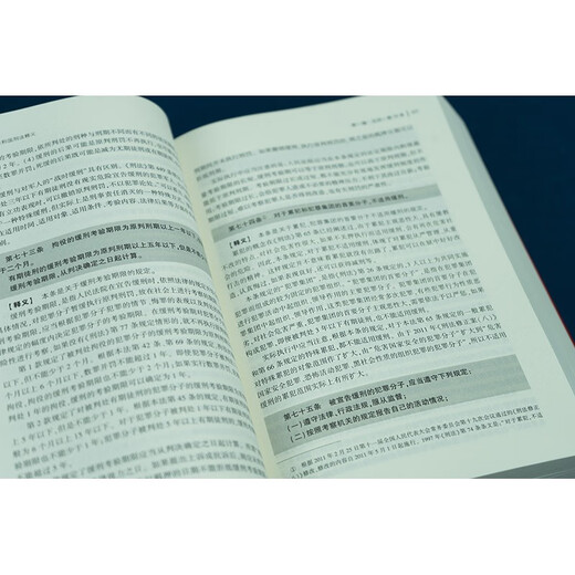 Interpretation of the Criminal Law of the People's Republic of China