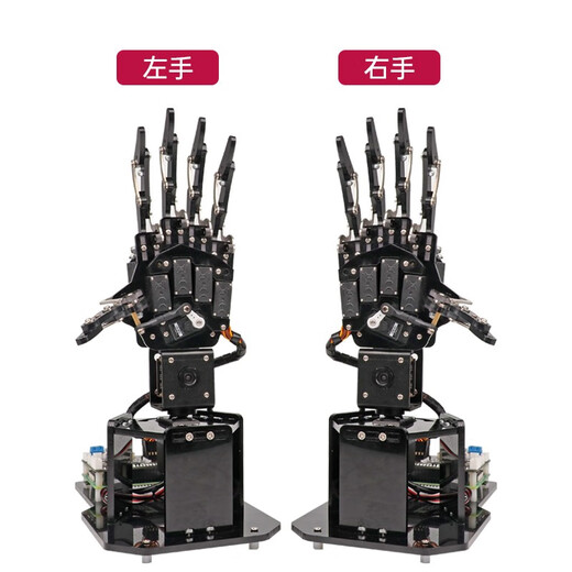 Fantasy Raspberry Pi 5 Bionic Mechanical Palm Uhandpi Geschicklichkeit Hand AI Visuelle Identifikation Python Programmierroboter Intelligenter Roboter Globe Tower Link