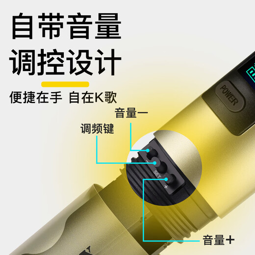 Resonant Wireless Microphone Handheld Microphone Outdoor Performance Singing Audio Amplifier Universal Anti-Howling U-section Hosting Conference Training Speech Trolley Speaker One to Two Wireless Microphone Deep Space Gray