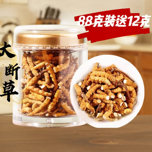 藏区冬虫夏草雪山天然冬虫夏草大断虫草自食大断草实惠煲汤干嚼 虫草大断草20克（发22克装)