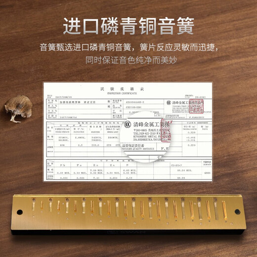 Swan (Swan) harmonica 24 trous avancé adultes enfants étudiants débutants professionnels polyphoniques c