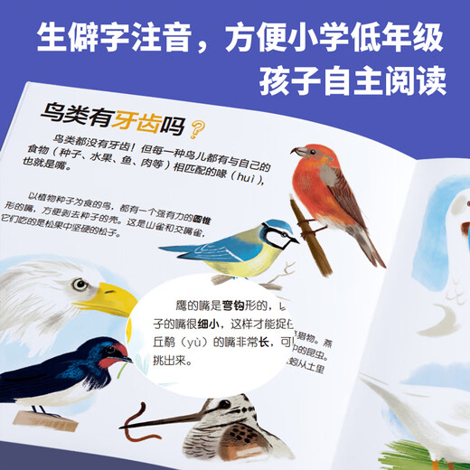 My Little Questions 50 volumes in a gift box, Humanities, Life, Geography, Animals and Human Body Knowledge, 4-6-10 year old children’s picture books, curiosity, young children’s bridge books to popular science, kindergarten fun primary school extracurricular reading, My Little Questions (80 volumes complete)