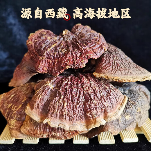 Yuan Clan Pure Wild Ganoderma lucidum, Tibet Echte Trockenwaren, Linzhi Red Zirkon, goldene Rand nicht-Sporen-Puderscheiben-Geschenkbox, 500 g Ganoderma lucidum Geschenkbox (500 g)