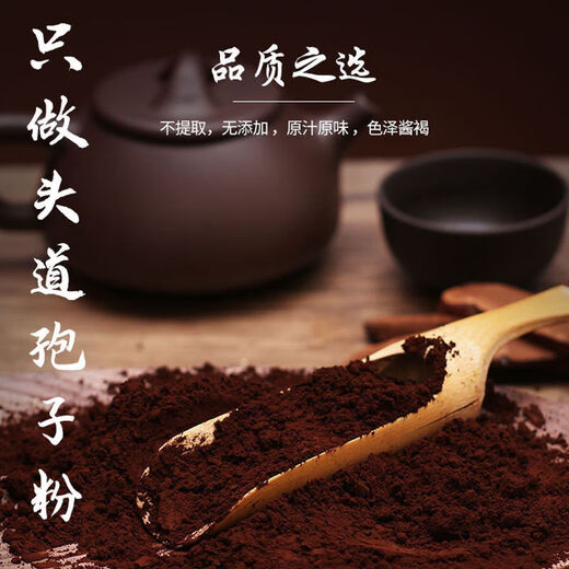 Eryabei Ganoderma lucidum Sporenpulver, Toudao Breakwall Ganoderma lucidum Pulver, Sporenpulver, Ganoderma lucidum sporenpulver [250 g]