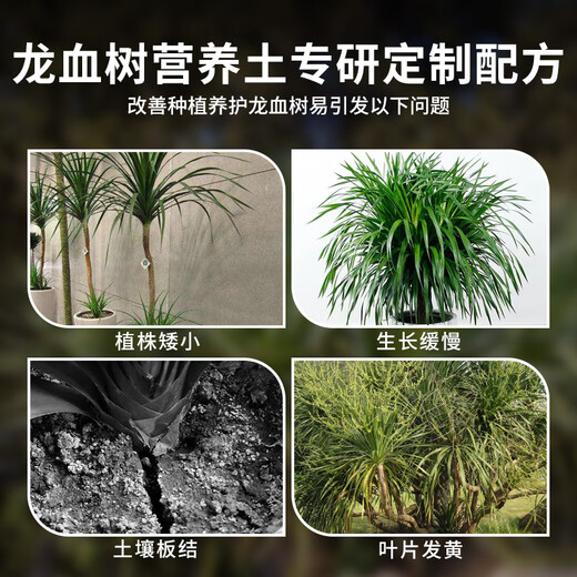 Shangyang dragon blood tree special nutrient soil 8L gardening vegetable and flower soil green plant planting granular soil organic soil
