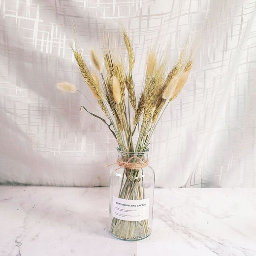 AIMAN dried flowers eucalyptus leaves Nordic style ins Nordic style small fresh living room ornaments diy home decoration ornaments SN strawberry fruit red 20 pieces without bottle