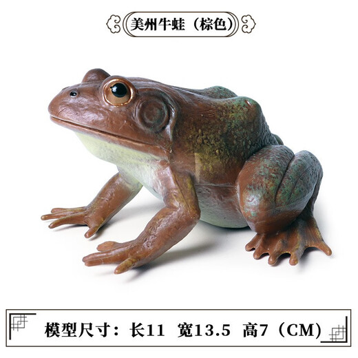 Oenux Simulation cognitive grenouille jouet solide enfant de poupée pour enfants Small Ornaments Bullfrog Frog Frog Bullfrog Frog Toad 1429 Africain Reed Frog