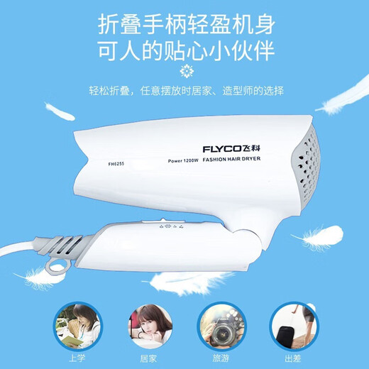 飞科（FLYCO） 电吹风2000W家用大小功率吹风筒便携式吹风机冷热风负离子不伤发 飞科FH6255  1200W   婚纱白