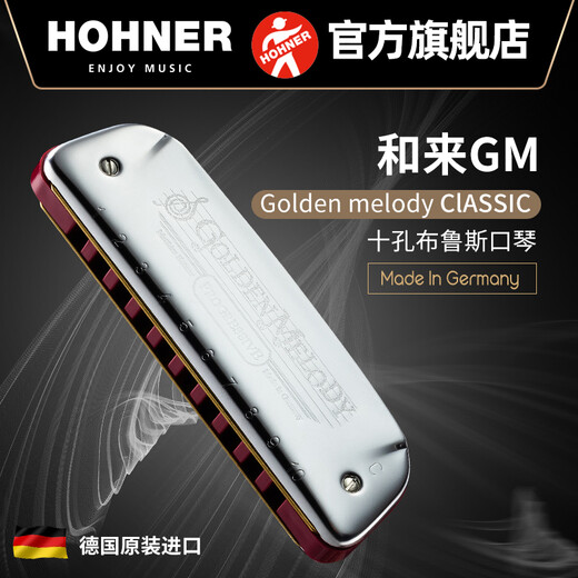 HOHNER德国和来Golden melody十孔10口琴GM布鲁斯蓝调成人口琴 10孔C调PADDY音阶