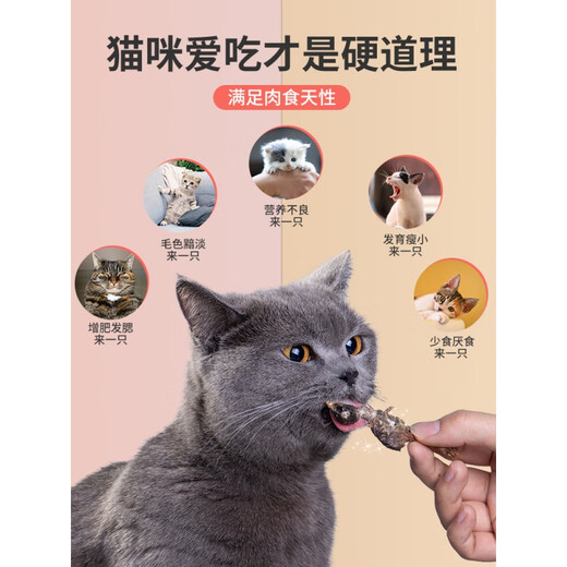 美人喵 猫零食鹌鹑冻干幼猫咪零食成猫营养长肉补钙冻肉干鹌鹑 鹌鹑50g尝鲜装(约35只)