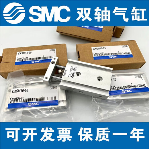 SMCCXSL25/CXSM25-75 100 125 150 175 200 225 250 Dual-Achse-Zylinder CXSL2575