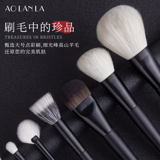 AOLANLA Master Ink Shadow 13 Makeup Brush Set Foundation Eyeshadow Brush Beauty Tools Gift Box Christmas Gift for Wife